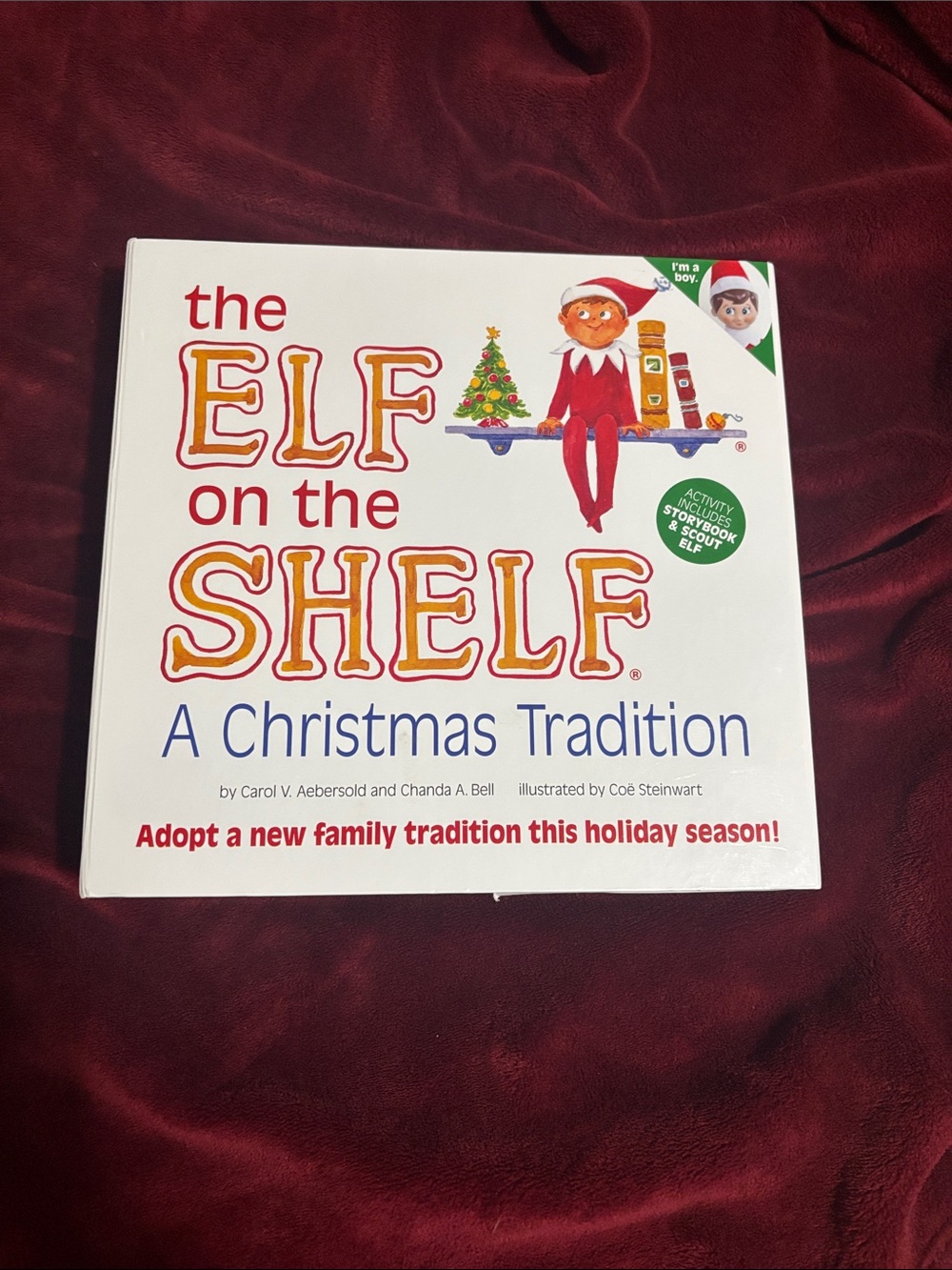 Elf on the shelf with a book